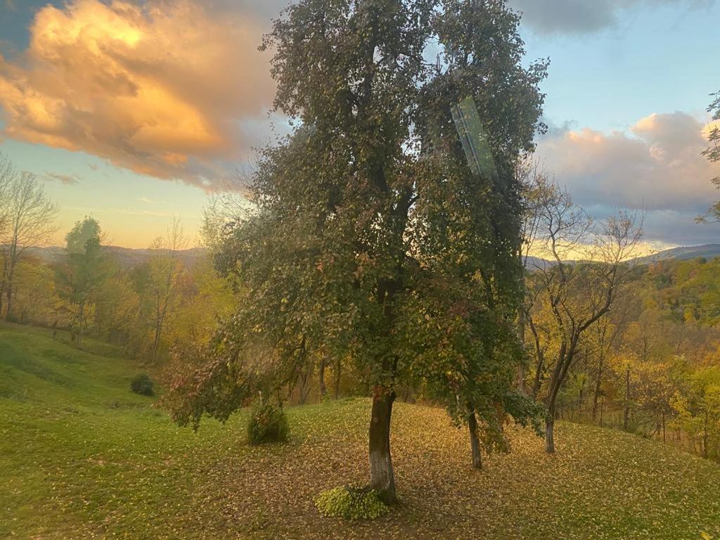 Casutele Din Poienita Villa Comarnic Kültér fotó
