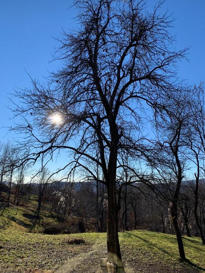 Casutele Din Poienita Villa Comarnic Kültér fotó