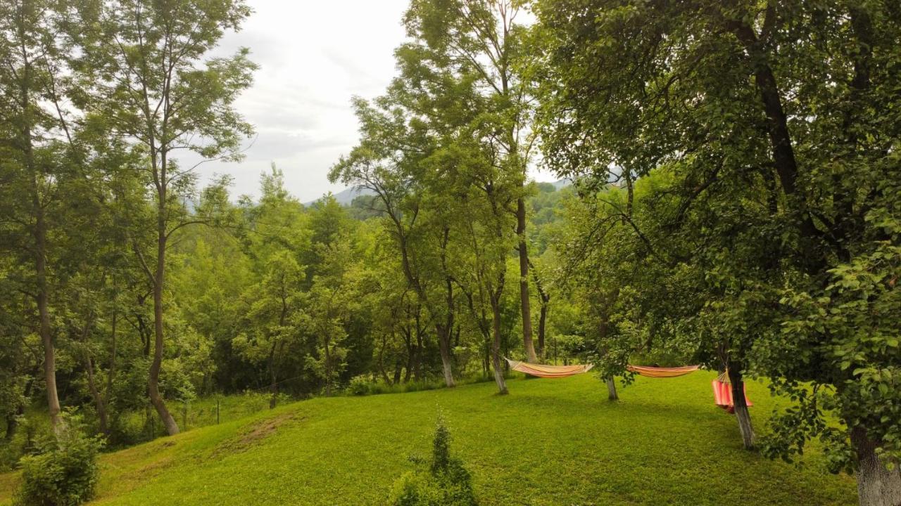 Casutele Din Poienita Villa Comarnic Kültér fotó
